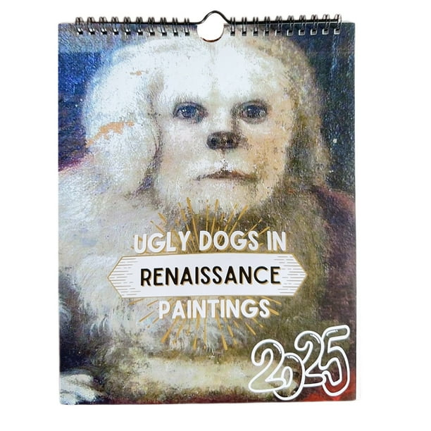 Maojin Calendario de escritorio 2025,12 calendario de pared mensual con patrones variados, fácil de colgar