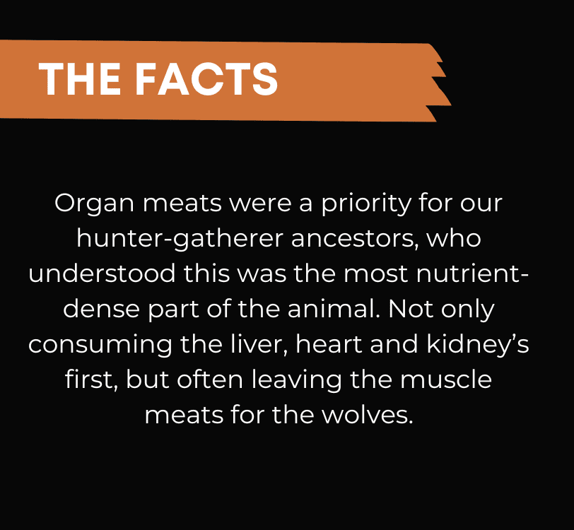 Grass Fed Beef Organ Powder with Liver, Heart & Kidney, Freeze-Dried Whole Food Organ Supplement, 90g