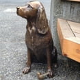 thumbnail image 4 of MesaSe Springer Spaniel Statue Décoration de Jardin Résine Animal Chien Sculpture Cour Pelouse Springer Spaniel Statue Résine Animal Chien Sculpture Cour Pelouse Extérieur Ornement Décoratif Décoration de Jardin, 4 of 8