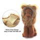 thumbnail image 3 of Pet Animal Mane Hair Divertido Pet Cute Headwear Disfraz fresco para la fiesta Eccomum Talla M, 3 of 7