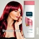 thumbnail image 4 of ABOVE Champú Nutritivo, Champú para Cabellos Teñidos, 325 ml, 4 of 5