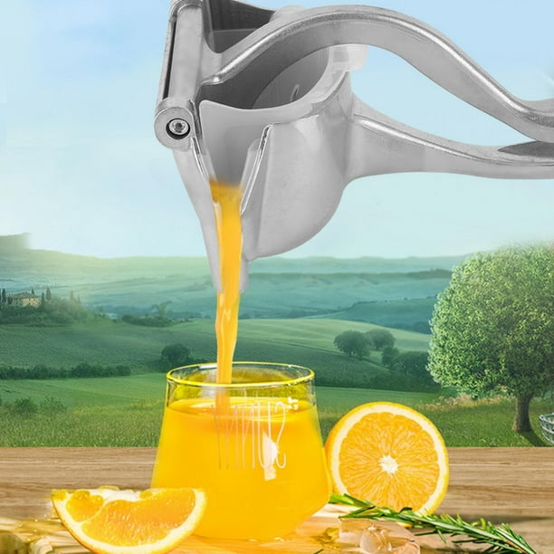 Lemon squeezer shop walmart