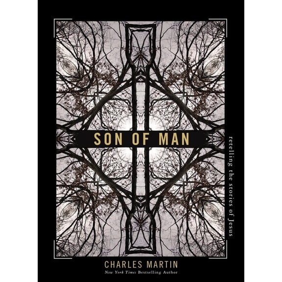 Son of Man: Retelling the Stories of Jesus, (Paperback)