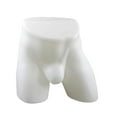 thumbnail image 5 of QccHieUs Male Underpants Stand Clothes Accessory Hip Mannequin for Supermarket Commercial White, 5 of 9