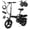 Black, variant on 14" Folding Electric Bike for Adults, 500W Commuter Ebike with 360WH Battery, 20MPH & 20 Miles, UL2849, Mini Bicycle with Basket