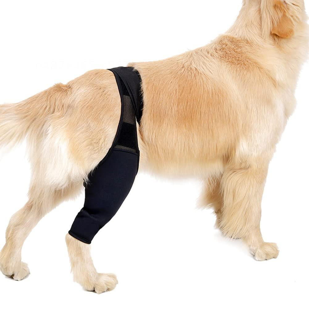Fovien Knee Pads for Dogs, Rehab Knee Protection for Dogs, Carpal Joint