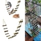 thumbnail image 5 of para Mascota, Loro, Hámster, Escalera de Escalada, Azúcar Gustan, Boca de , Garbill, 5 of 9