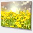 thumbnail image 2 of Sunny Meadow avec Fleurs Jaunes - Impression sur Toile Florale, 2 of 3