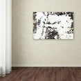 thumbnail image 3 of Trademark Fine Art "NA 7 (Take Flight)" Canvas Art by Kika Pierides, 3 of 3