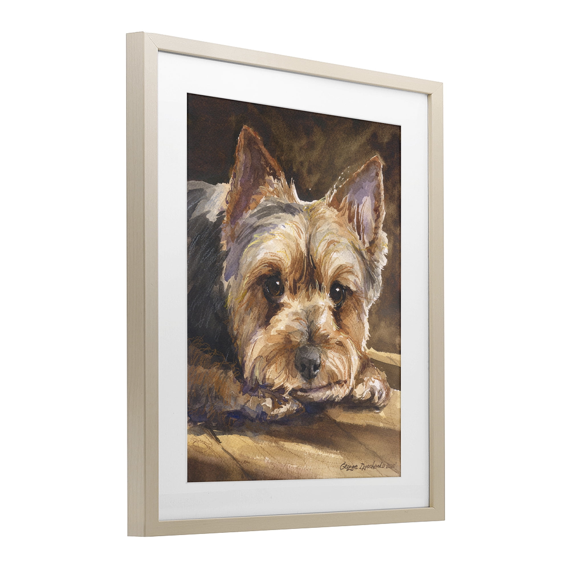 Stupell Industries Yorkshire Terrier Portrait Birch Framed Print Under Glass, design by George Dyachenko