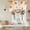 Burnt Orange, Flax, variant on Fall Gnomes Tie Up Curtains for Windows, Adjustable Balloon Window Shades, Thanksgiving Maple Branch Berries Florals Farm Kitchen Window Treatments Farmhouse Short Curtains with Rod Pocket 42"x45"