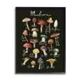 thumbnail image 2 of Stupell Industries Varied Mushrooms Kitchen Chart Landscape Painting White Framed Art Print Wall Art, 2 of 5