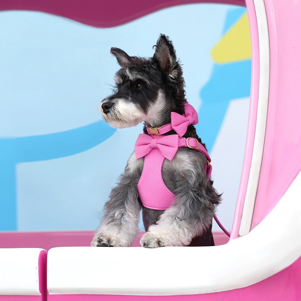 Pet Artist 4pcs Cute Bowtie Dog Harness and Collar and Leash and Poo Bag Holder Adjustable Pet Puppy Cat Vest