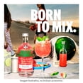 thumbnail image 4 of Vodka Absolut sandía 750 ml, 4 of 4