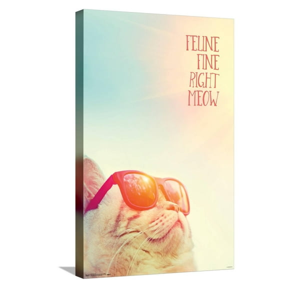 Feline Fine Right Meow Canvas Wall Poster, 14.725" x 22.375"