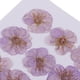 thumbnail image 3 of 12 piezas de adornos de flores de ciruelo prensadas secas para decoración púrpura claro, 3 of 9