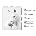 thumbnail image 2 of Poster Master White Horse Poster - Portrait Print - Photography Art - Black & White Art - Animal Art - Pony Art - Stallion Art - Equestrian Art - Living Room or Bedroom Decor - 8x10 UNFRAMED, 2 of 4