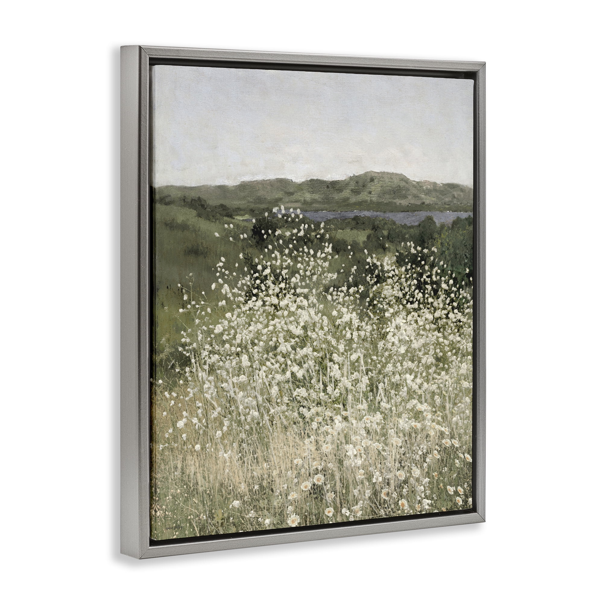 Stupell Industries Sunlit Meadow of White Daisies Gray Framed Floater Canvas Wall Art, design by Amber Sterling