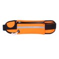 thumbnail image 1 of Riñonera para cinturón para correr - Riñonera impermeable para cinturón de corredor para senderismo Fitness - Ajustable Adepaton CPB-DE-SSW1269-5, 1 of 5