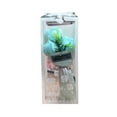 thumbnail image 1 of EIMELI Boc Nice-looking Flower Gift Box Perfect Gifts Colorful Rose Shape Soap Flower Box for Valentines Day, 1 of 10