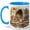 Blue, variant on Cozy Journal Coffee Mug, Cat Lover Writing Mug, Bookish Self Care Birthday Christmas Gift for Women, Warm Cafe Desk Books Sleeping Cat Art, 11 oz White Ceramic Coffee Cup