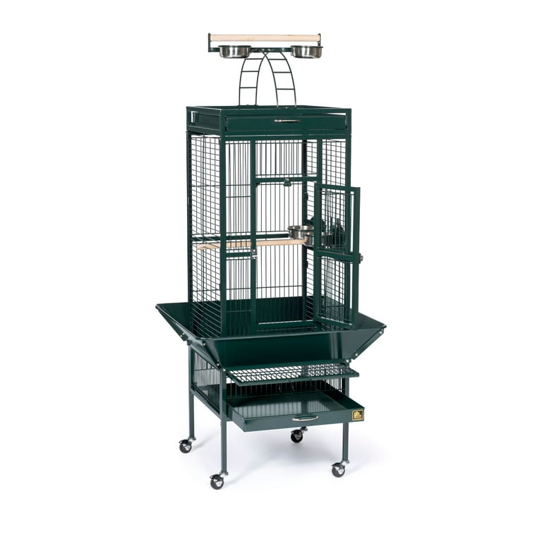 Prevue hendryx wrought iron bird cage 2025