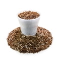 thumbnail image 7 of Gardenera Labs Professional Carnivorous Plant Soil - Ready to Use for Venus Flytraps, Sundews, Pitcher Plants, Butterworts | Peat Moss, Coco Coir, Perlite - 20 Quart, 7 of 7