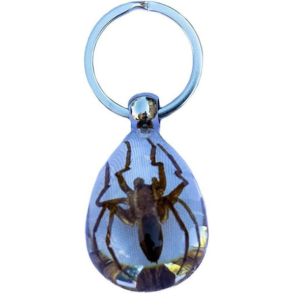 Trendy Zone 21 Keychain with Brown Spider Resin Key Ring| Key Chain Oval Shape Creative 2” Spider Keychain for Men & Women, Spider Keyring || 2” Pendant Height|Clear Background