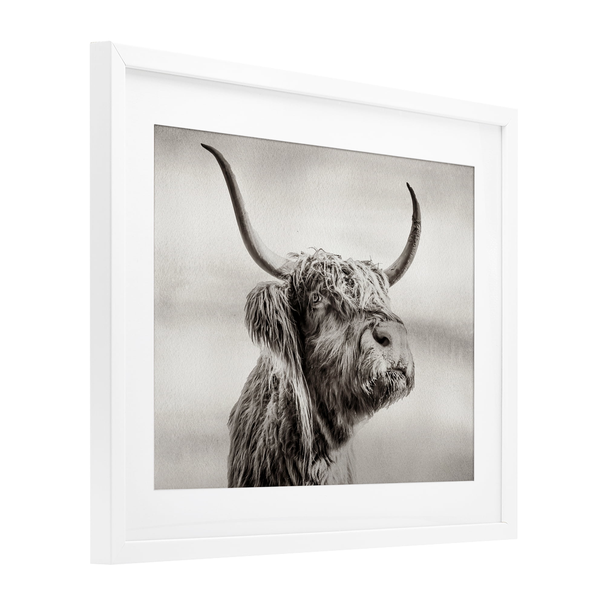 Stupell Industries Horned Highland Cow Gazing White Framed Print Under Glass, design by Julia Frost