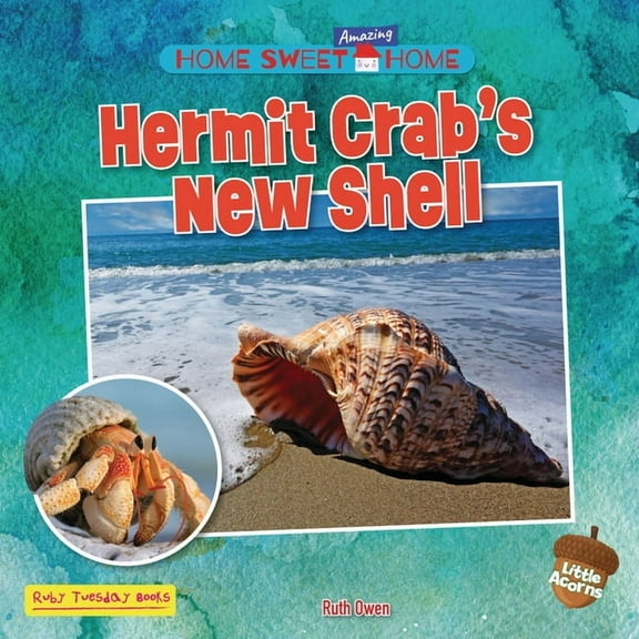 Home Sweet Amazing Home (Little Acorns) Hermit Crab's New Shell, (Paperback)