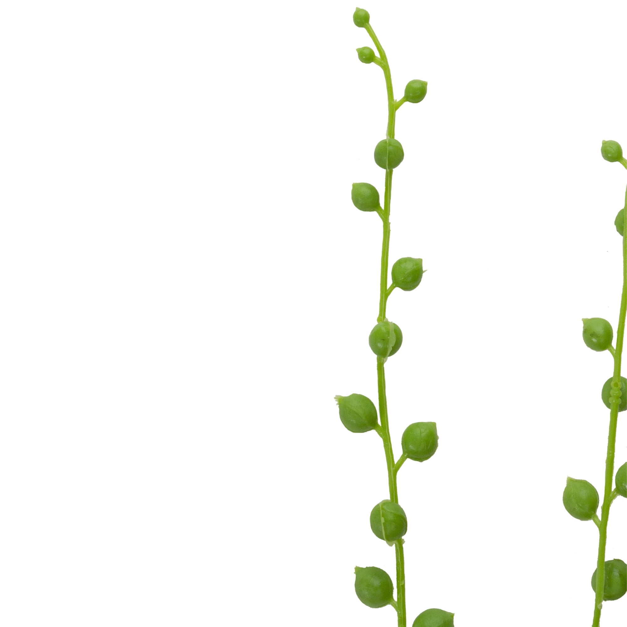 String of Pearls Artificial Spray - 30" - Green