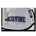 thumbnail image 1 of W Republic Game Day Fitted UC Irvine- Heather Grey - Size 7.13, 1 of 1