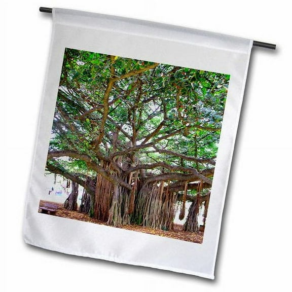 3dRose, Tree Outside Zoo Kapiolani Park Honolulu, 12 x 18 inch Garden Flag