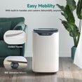 Dehumidifier for Home, Concho 3500 Sq. Ft 35 Pint Quiet Dehumidifier