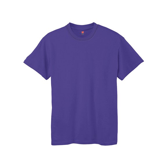 Hanes Boys' TAGLESS; Comfort Soft; Crewneck T-Shirt, Color: Purple, Size: XL --- PACK OF 2 (Boys)