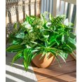 thumbnail image 1 of Plantas vegetales artificiales Starttag resistentes a los rayos UV (verde), 1 of 9