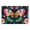 Color 1, variant on Jigsaw Puzzles for Adults 1000 Pieces Colorful Wintry Cats Wooden Puzzles Multiple Cat Faces Winter Scarves Challenging Fun Family Game Party Gifts for Women Men Christmas