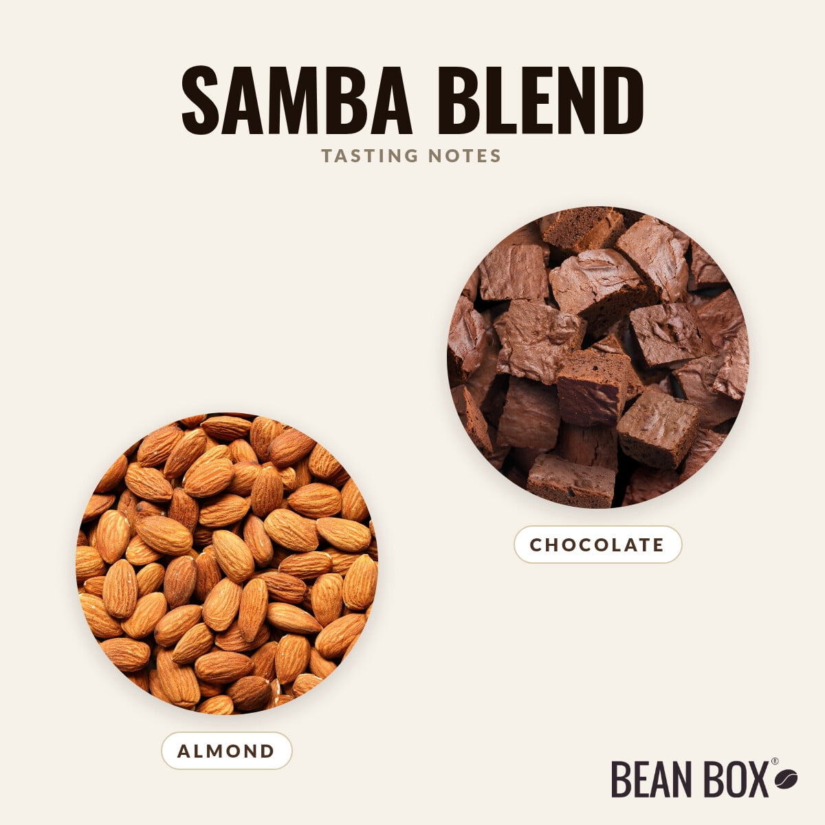 Samba Blend - Roasted by Casa Brasil Coffees - Whole Bean Coffee - 5lb Bag