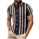 thumbnail image 1 of Camisa Hawaiana para Hombres de Manga Corta con Divertido Estampado Tropical, Camisa de Playa Casual para Uso Al Aire Libre Y Diario, 1 of 8