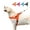 Orange, variant on Beirui Reflective Nylon Dog Harness No Pull Soft Mesh Padded Front Leading Vest with Handle