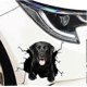 thumbnail image 3 of 1PCS Dog Car Stickers, 3D Labrador Car Decals Personalized Stickers Funny French Bulldog Car Stickers Realistic Dog Vinyl Window Sticker-20cmx20cm, 3 of 5