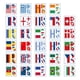 thumbnail image 4 of 116pcs Bandera Mundial Pegatinas Tatuajes Temporales Transferencia Patriótica Cara Calcomanías, 4 of 6