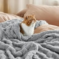 thumbnail image 5 of Cozy Comfort Light Grey Fleece Throw Blanket for Couch - Super Soft Cozy Blankets for Women,Girls, 50x60 Inches, 5 of 7