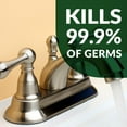 thumbnail image 3 of Simple Green Pro 3 Plus 1 Gal. Herbal Scent Antibacterial Cleaner and Disinfectant (2-Pack), 3 of 4
