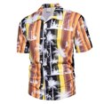 thumbnail image 1 of Camisa de manga corta para hombre, camiseta holgada de estilo hawaiano para playa de verano para vacaciones de viaje, 1 of 7