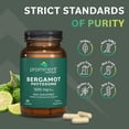 thumbnail image 7 of Prominent Nutrition Bergamot Phytosome, Clinically Researched Vazguard Citrus Bergamot Extract for Cholesterol and Heart Health Support, Enhanced-Absorption Supplement, 500 mg, 60 Capsules, 7 of 7