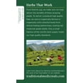thumbnail image 2 of Traditional Medicinals Ginger with Chamomile Herbal Tea Organic, 16 CT (Pack - 3), 2 of 6