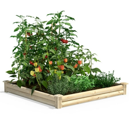 Greenes Fence 4' x 4' x 5.5" Off-White Wood Raised Garden Kit with Heavy Duty