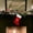 A, variant on HongHeng Monogram Embroidered Letter Christmas Stocking Soft Velvet with White Plush Cuff Embroidered Personalize Double Christmas Sock for Family Holiday Decoration Hanging