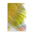 thumbnail image 2 of Gango Home Decor In Motion I by Karyn Millet (Printed on Paper); One 24x36in Fine Art Paper Giclee Print, 2 of 4
